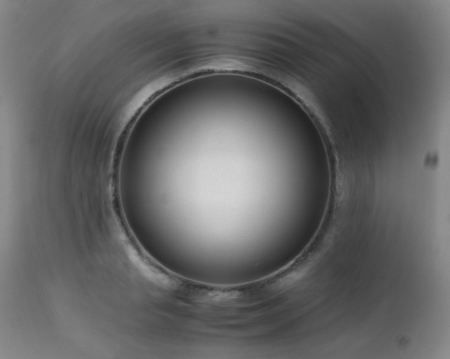X0000113040845200908271503