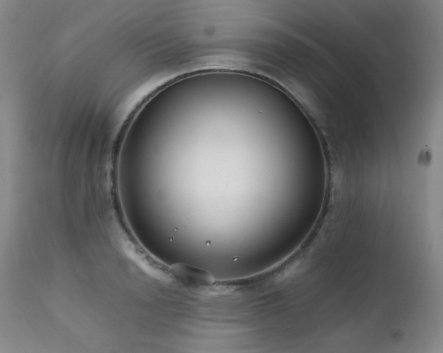 X0000113040846200908271503