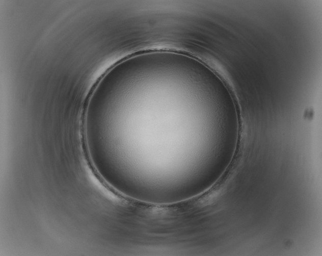 X0000113040847200908271504
