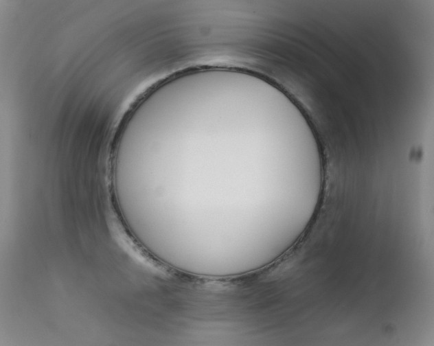 X0000113040848200908271504