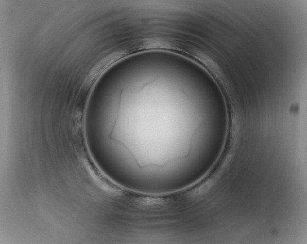 X0000113040849200908271504