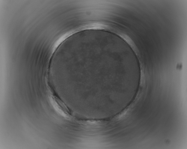 X0000113040850200908271504