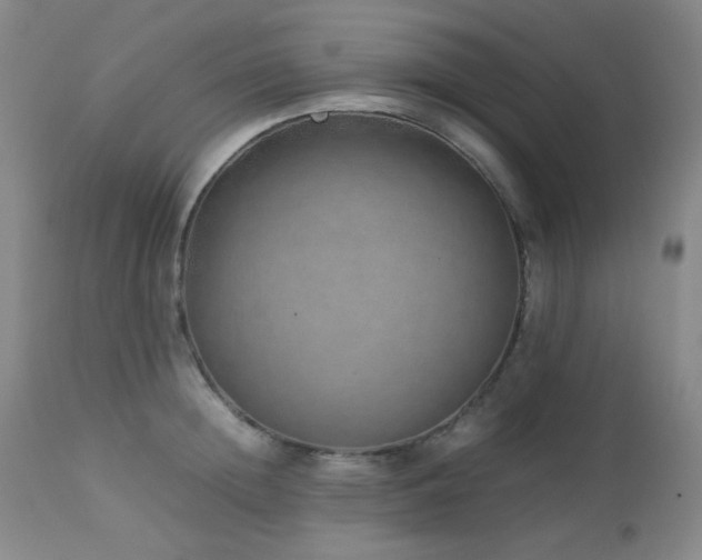 X0000113040852200908271504