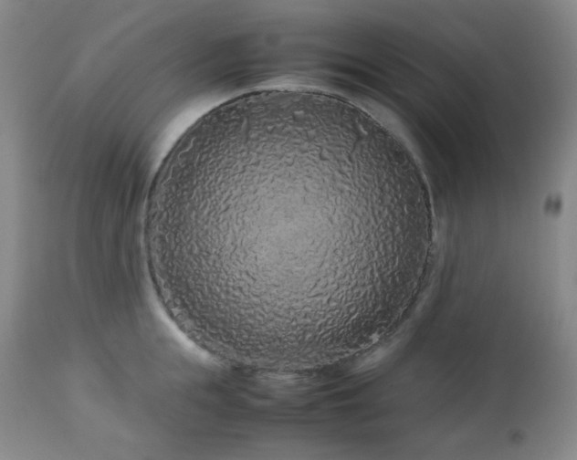 X0000113040855200908271504