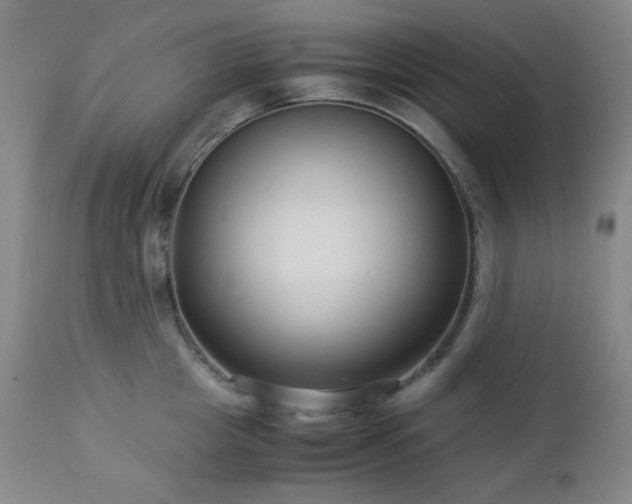 X0000113040857200908271504
