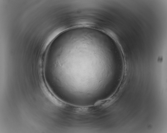 X0000113040859200908271504