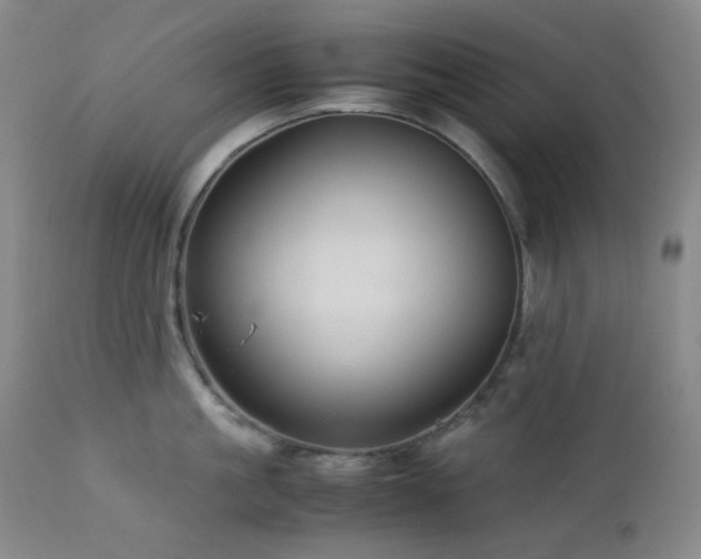 X0000113040861200908271504