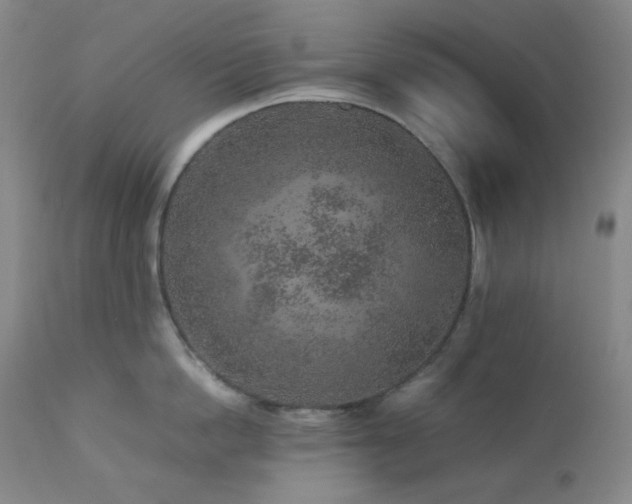 X0000113040862200908271504