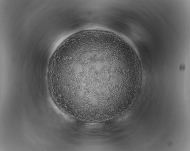 X0000113040863200908271504