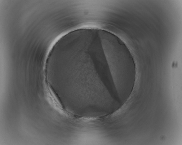 X0000113040864200908271504