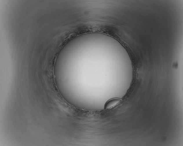 X0000113040865200908271503