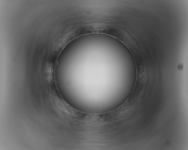 X0000113040866200908271503