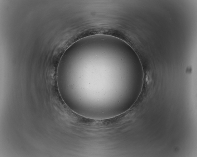 X0000113040867200908271503