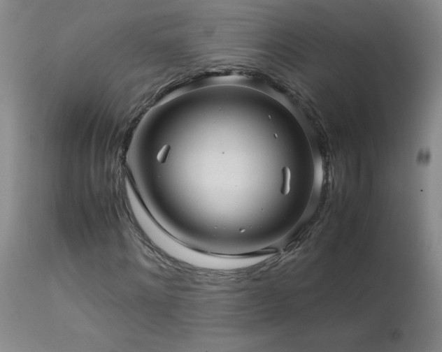 X0000113040868200908271503