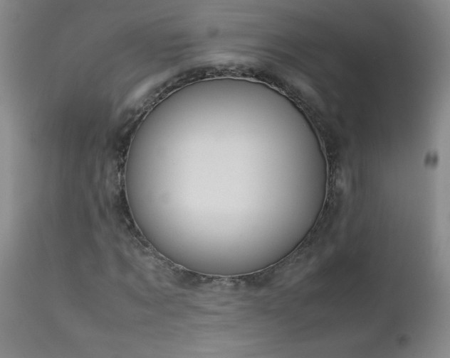 X0000113040869200908271503