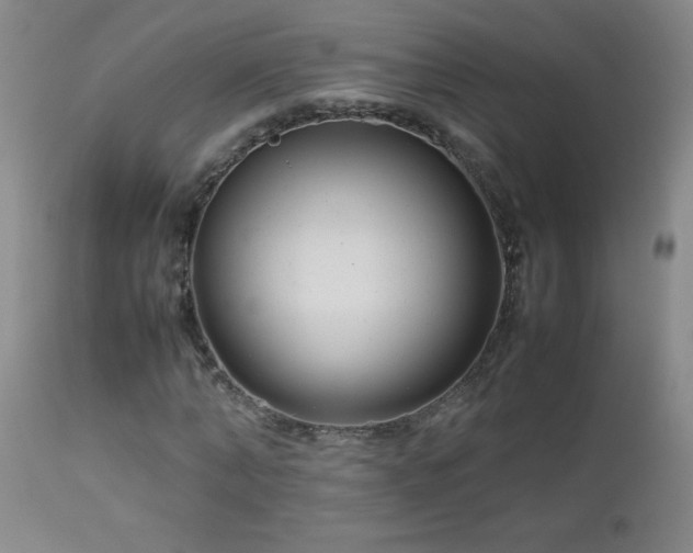 X0000113040870200908271503
