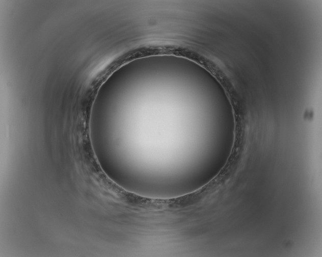 X0000113040871200908271503