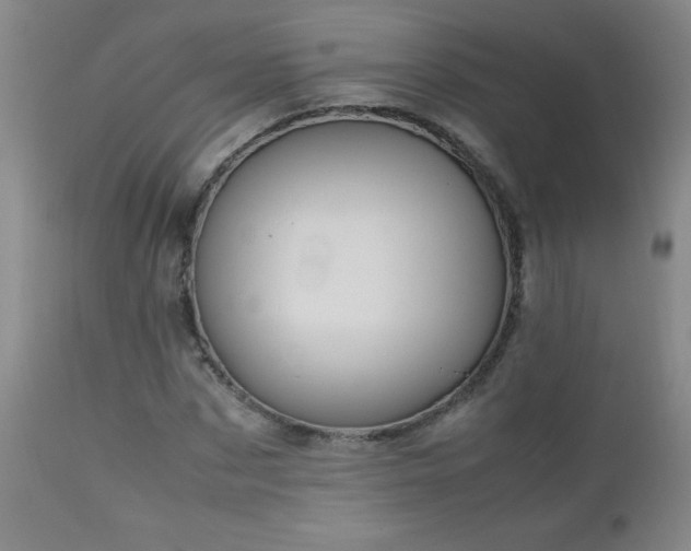 X0000113040873200908271503
