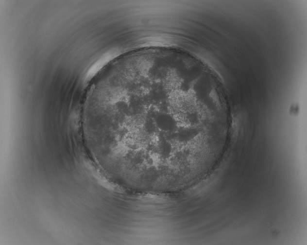 X0000113040874200908271503