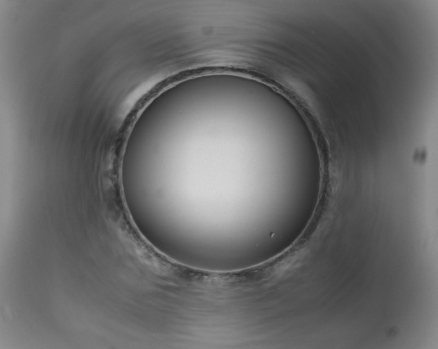 X0000113040875200908271503