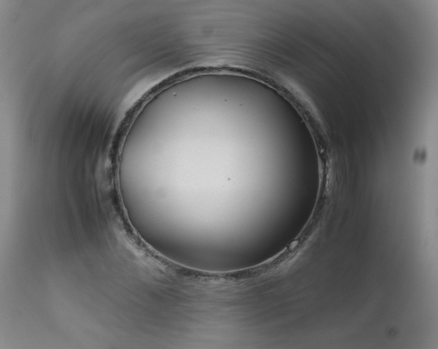X0000113040876200908271503