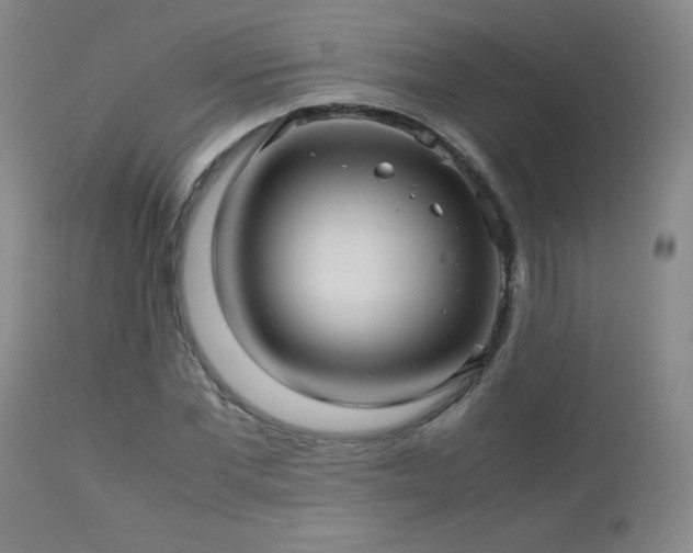 X0000113040877200908271503