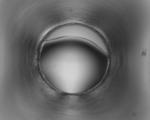 X0000113040878200908271503