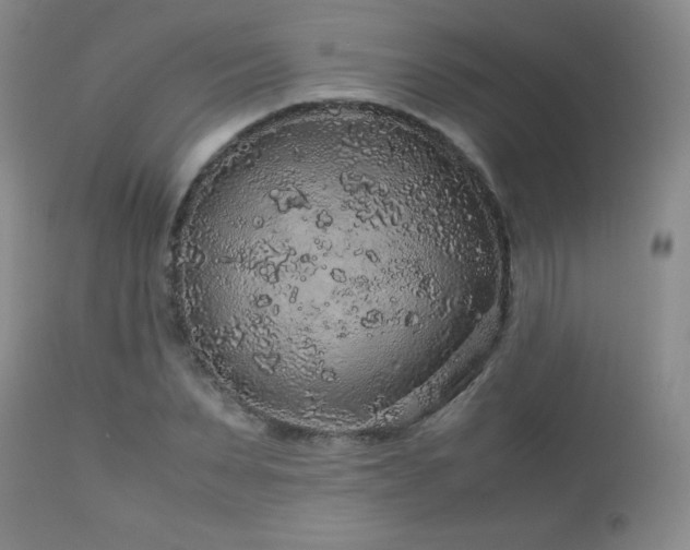 X0000113040879200908271503