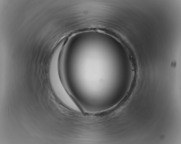 X0000113040881200908271503