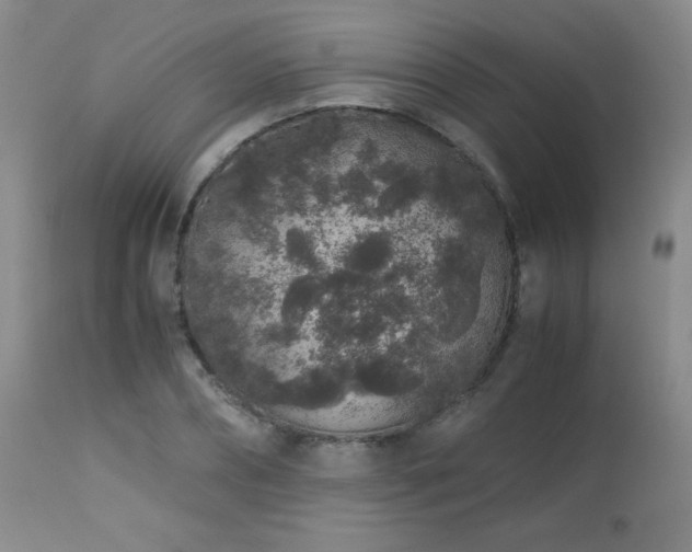 X0000113040882200908271503