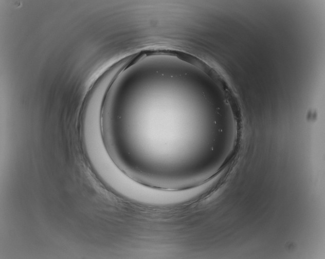 X0000113040885200908271503
