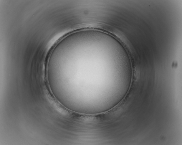 X0000113040886200908271503