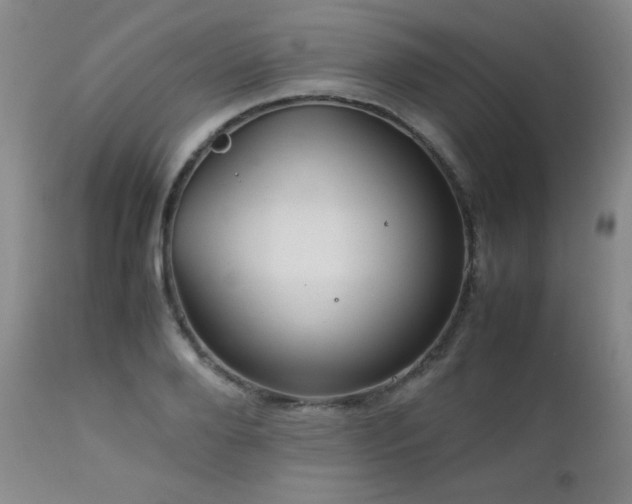 X0000113040888200908271503