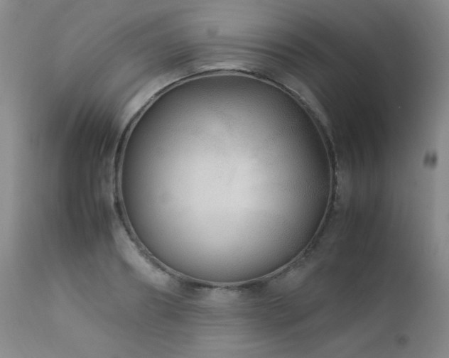 X0000113040890200908271503