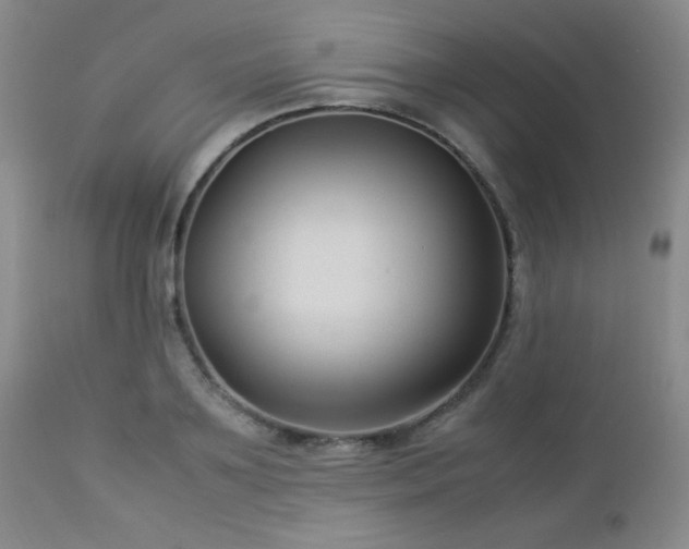X0000113040891200908271503
