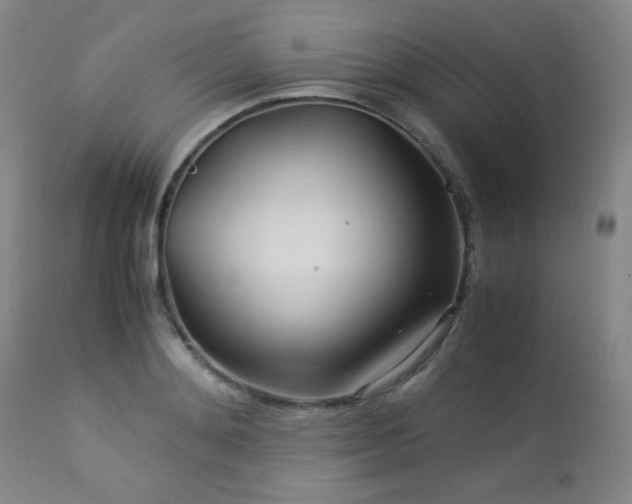 X0000113040892200908271503