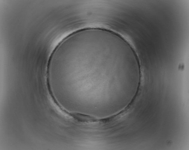 X0000113040895200908271503