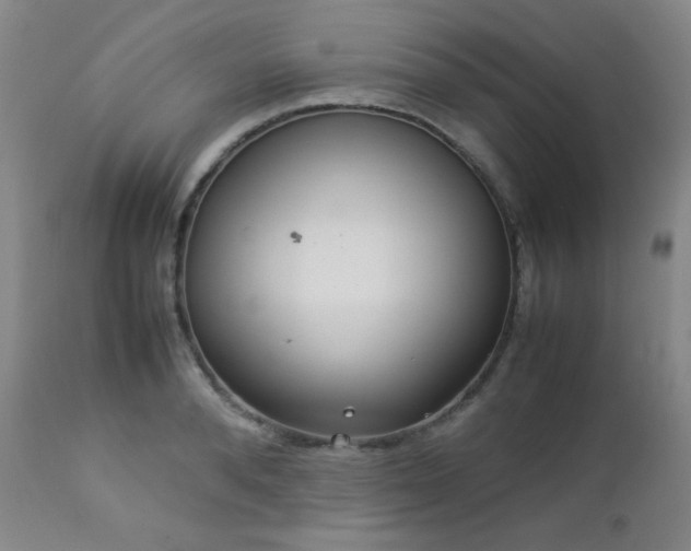 X0000113040896200908271503