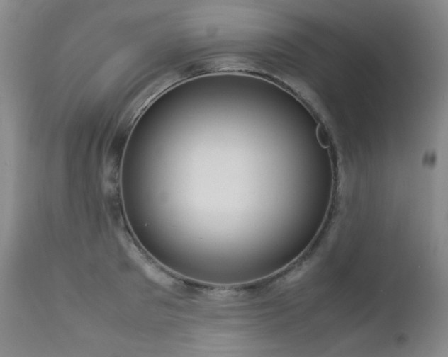 X0000113040897200908271503