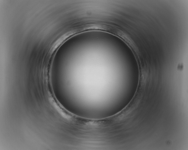 X0000113040898200908271503