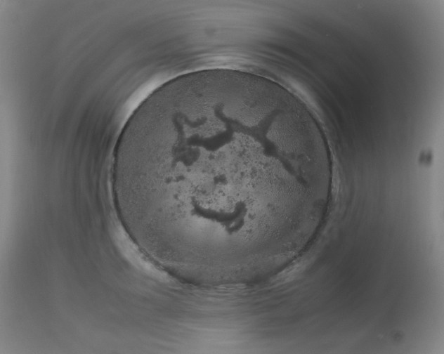 X0000113040899200908271503