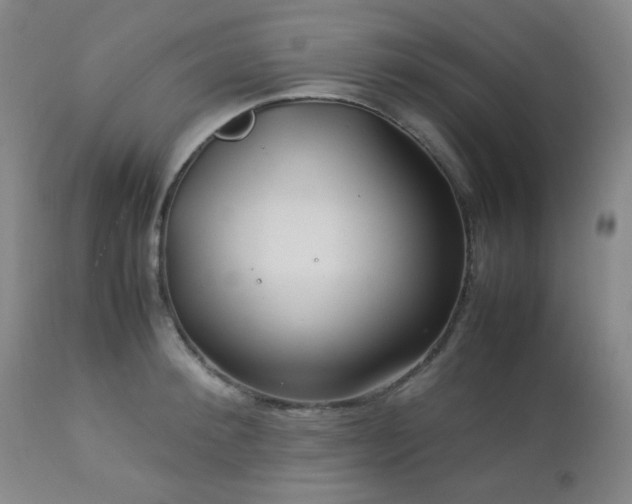 X0000113040900200908271503