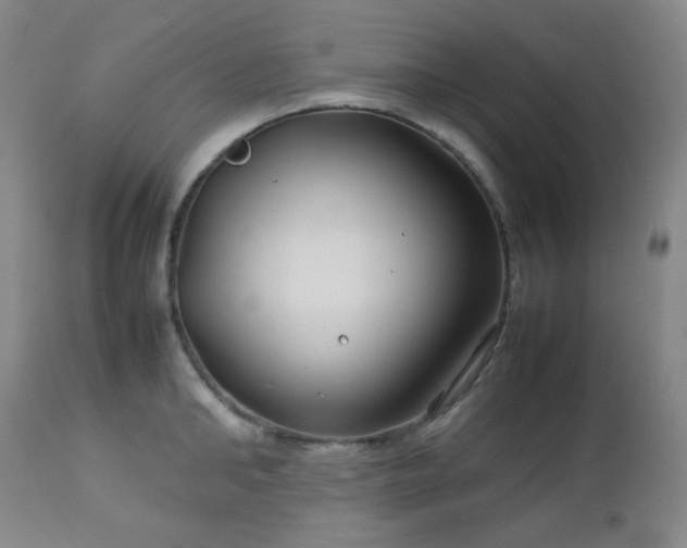 X0000113040902200908271503