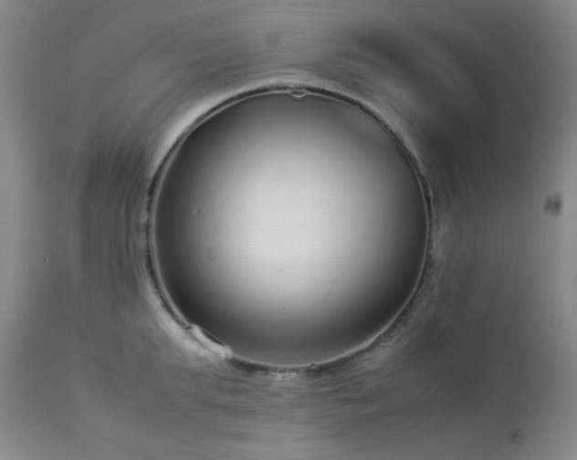 X0000113040903200908271503