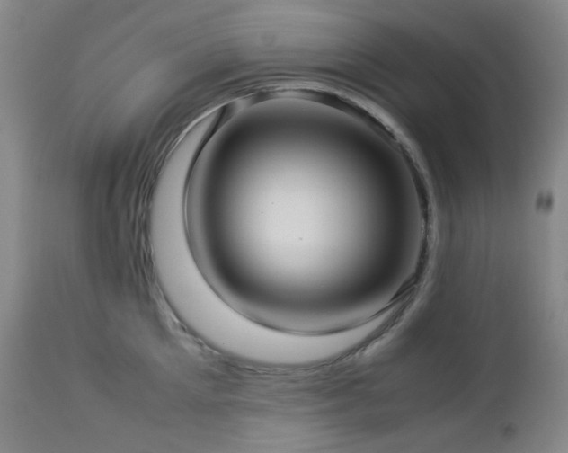 X0000113040905200908271502