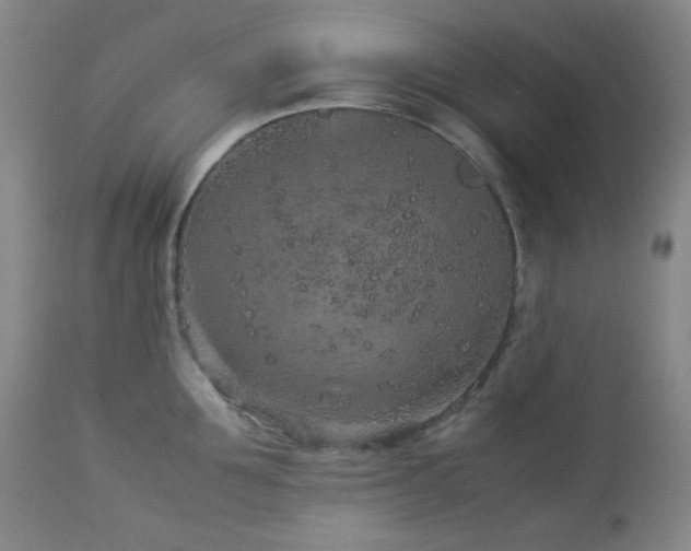 X0000113040907200908271502