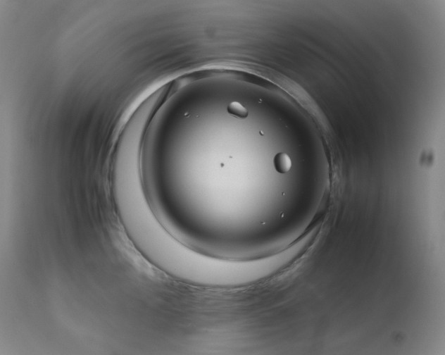 X0000113040908200908271502