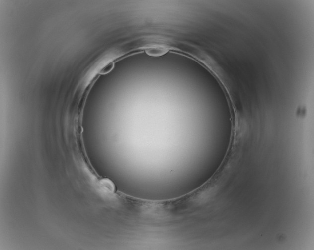 X0000113040909200908271502