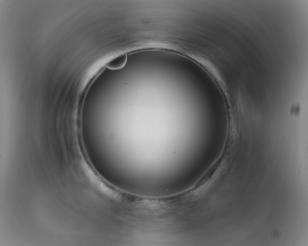 X0000113040910200908271502