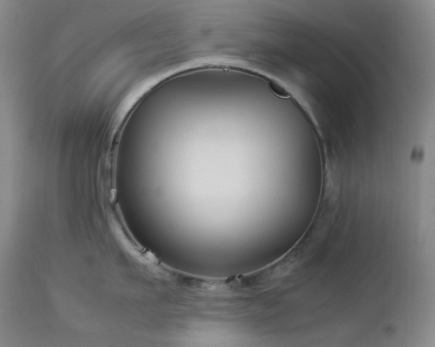 X0000113040911200908271502